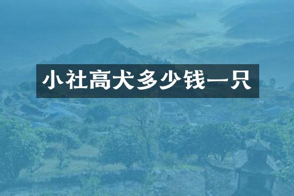 小社高犬多少钱一只
