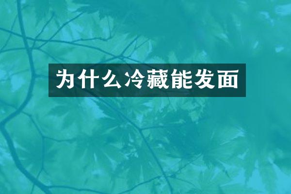 为什么冷藏能发面