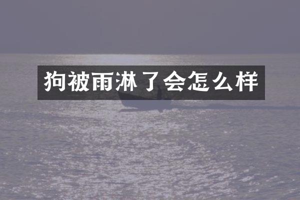 狗被雨淋了会怎么样