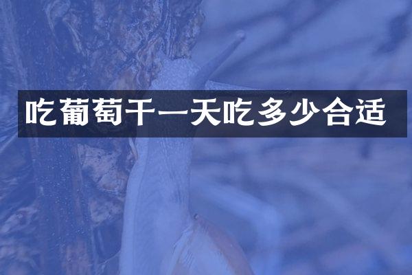 吃葡萄干一天吃多少合适