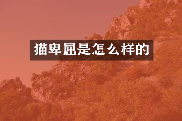 猫卑屈是怎么样的