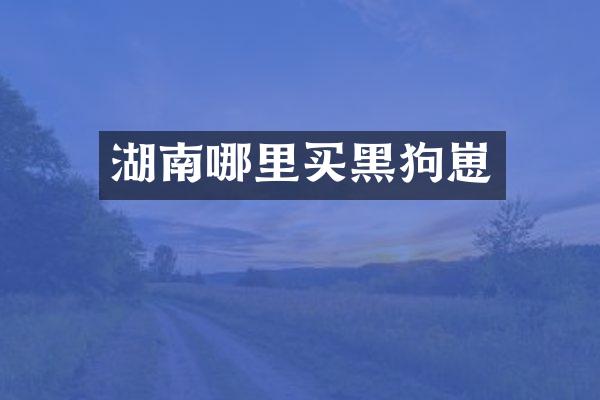 湖南哪里买黑狗崽