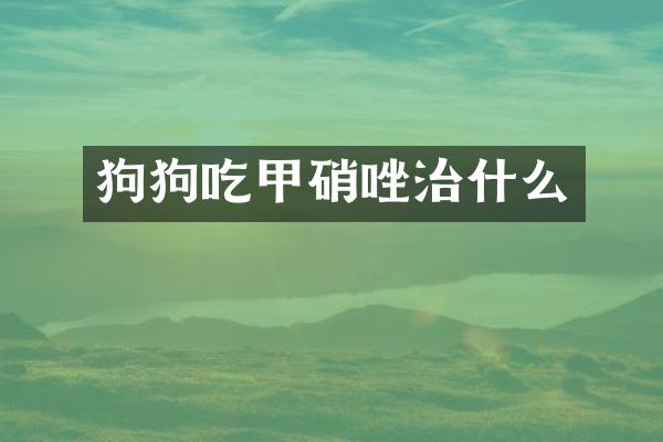 狗狗吃甲硝唑治什么
