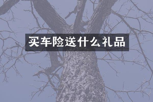 买车险送什么礼品