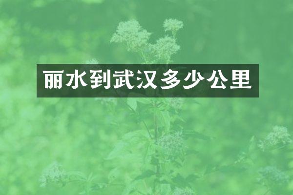 丽水到武汉多少公里