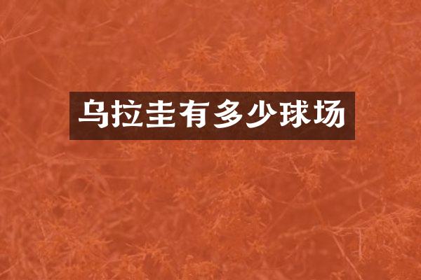 乌拉圭有多少球场