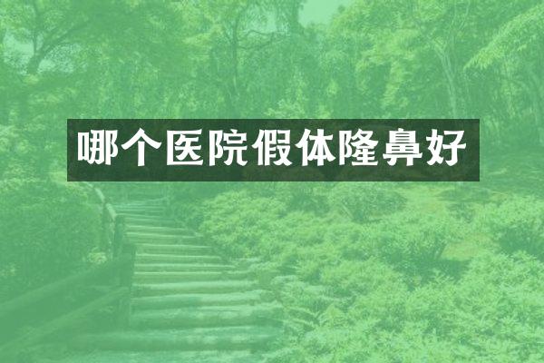 哪个医院假体隆鼻好
