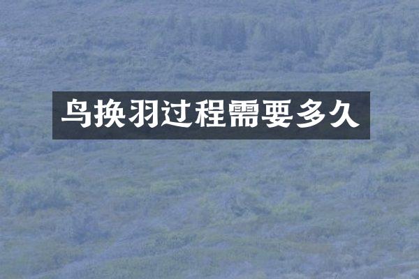 鸟换羽过程需要多久