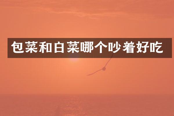包菜和白菜哪个吵着好吃