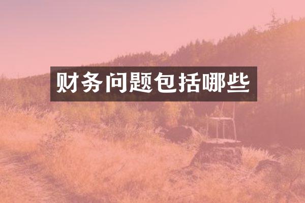 财务问题包括哪些