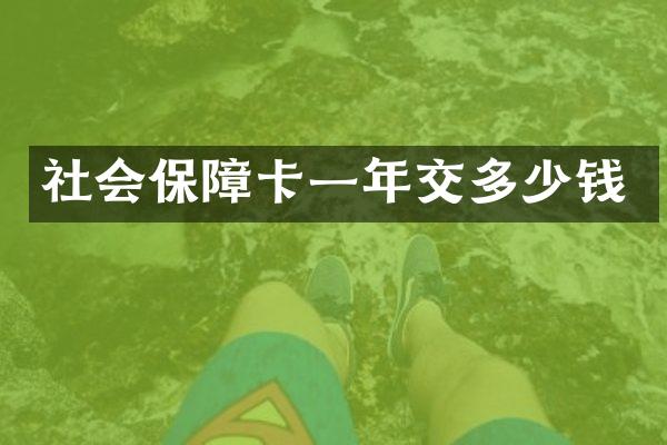 社会保障卡一年交多少钱