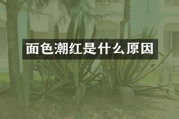 面色潮红是什么原因
