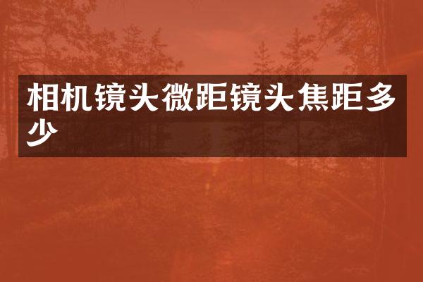 相机镜头微距镜头焦距多少