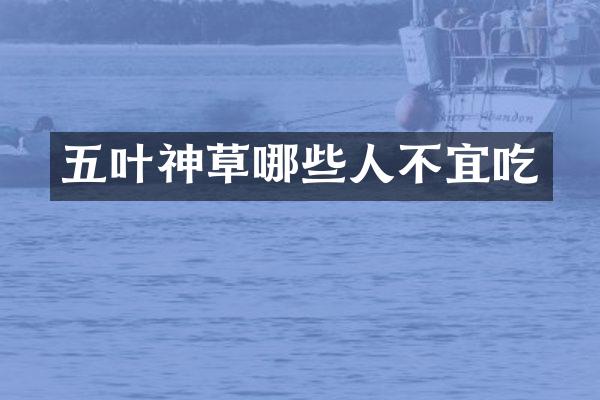 五叶神草哪些人不宜吃