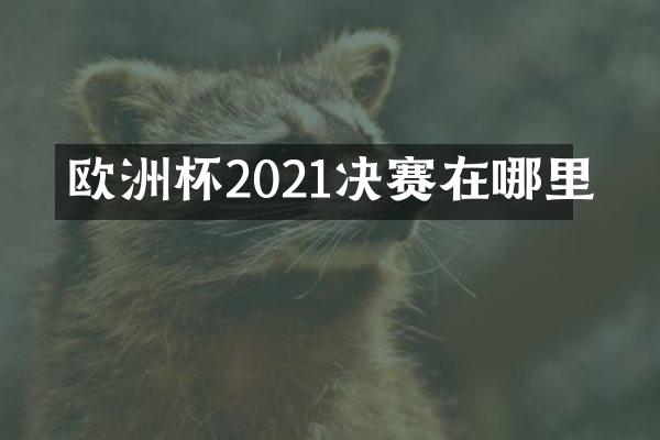 欧洲杯2021决赛在哪里