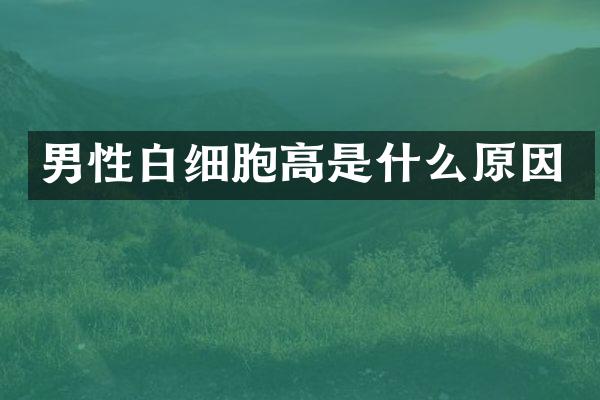 男性白细胞高是什么原因