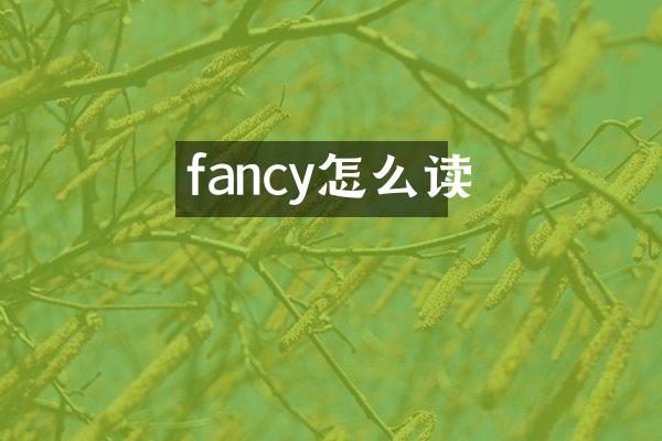 fancy怎么读