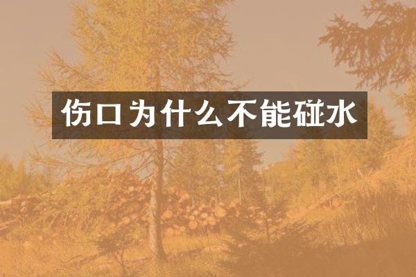 伤口为什么不能碰水