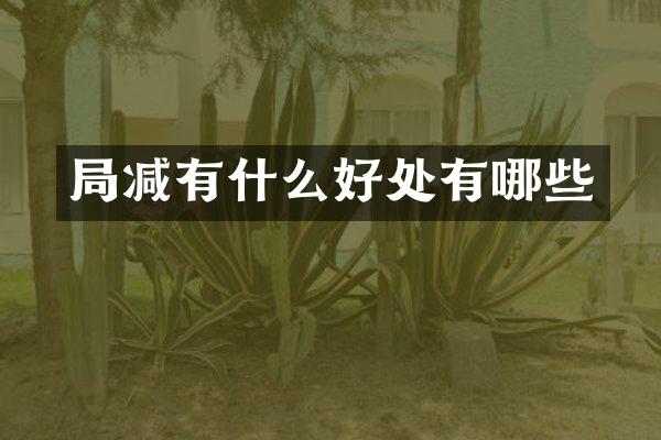 局减有什么好处有哪些