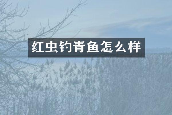 红虫钓青鱼怎么样