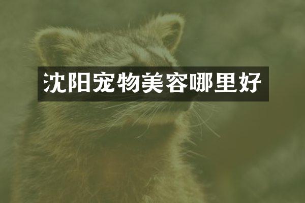沈阳宠物美容哪里好