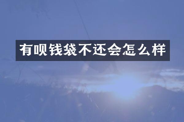 有呗钱袋不还会怎么样