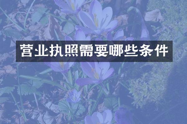 营业执照需要哪些条件