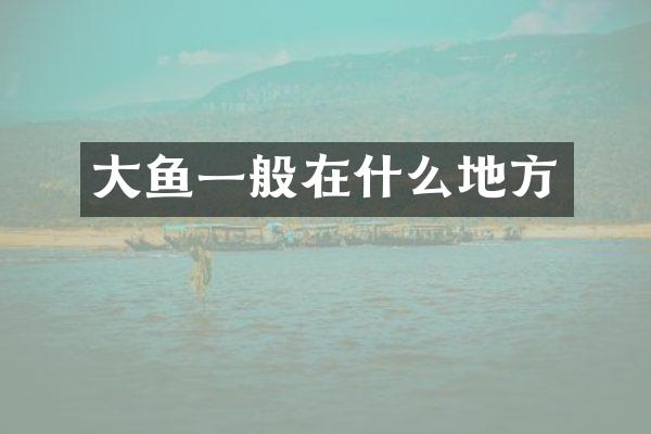 大鱼一般在什么地方