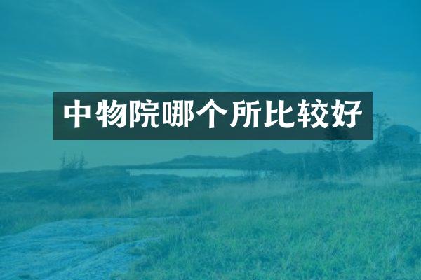 中物院哪个所比较好