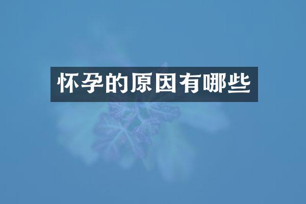 怀孕的原因有哪些