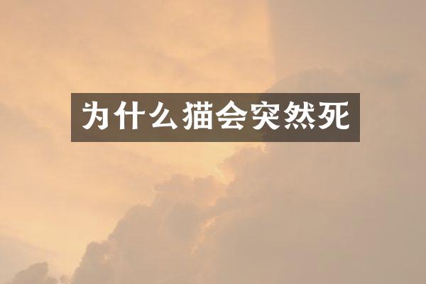 为什么猫会突然死