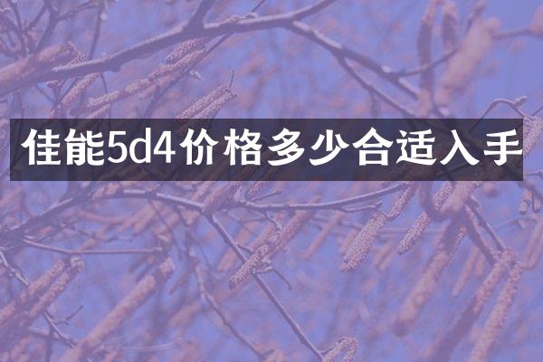 佳能5d4价格多少合适入手