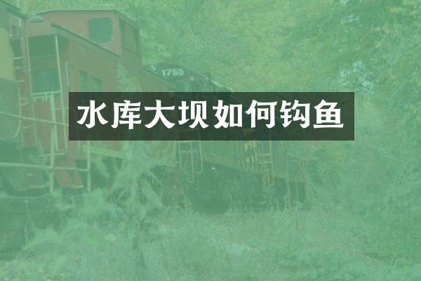 水库大坝如何钩鱼
