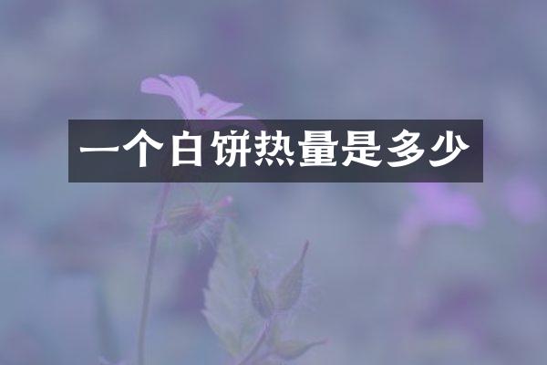 一个白饼热量是多少
