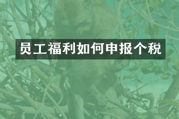 员工福利如何申报个税