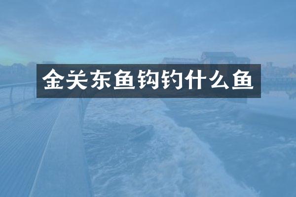 金关东鱼钩钓什么鱼