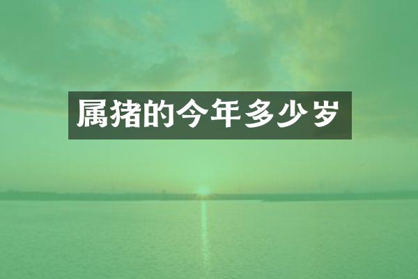属猪的今年多少岁