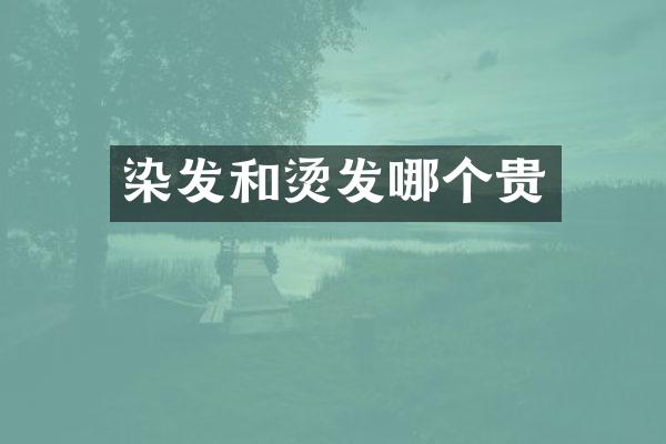 染发和烫发哪个贵
