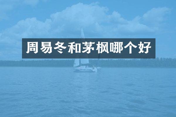 周易冬和茅枫哪个好