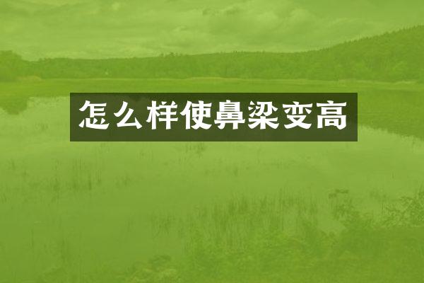 怎么样使鼻梁变高