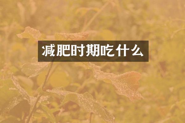 减肥时期吃什么