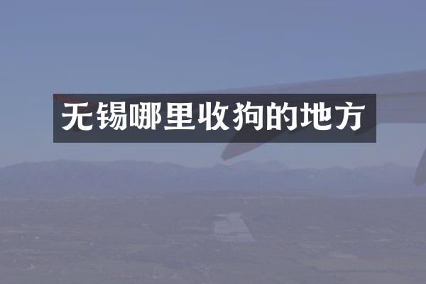 无锡哪里收狗的地方