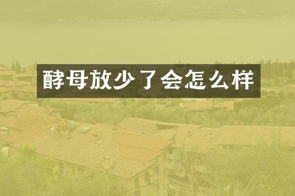 酵母放少了会怎么样