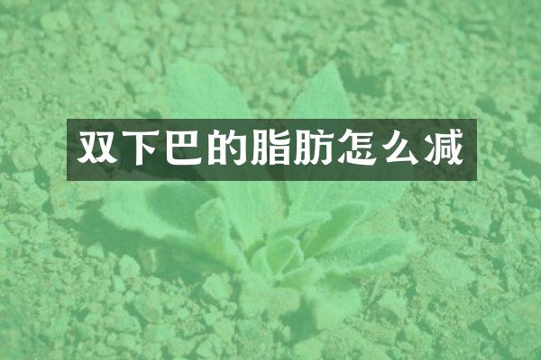 双下巴的脂肪怎么减