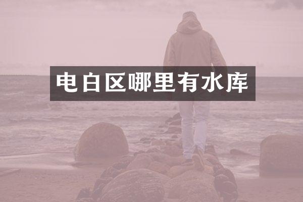 电白区哪里有水库