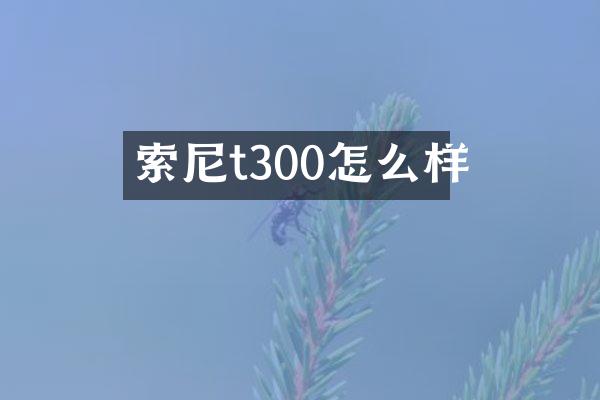 索尼t300怎么样