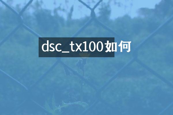 dsc_tx100如何