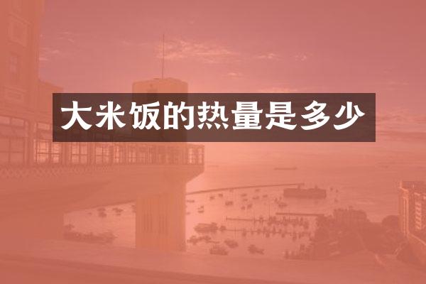 大米饭的热量是多少
