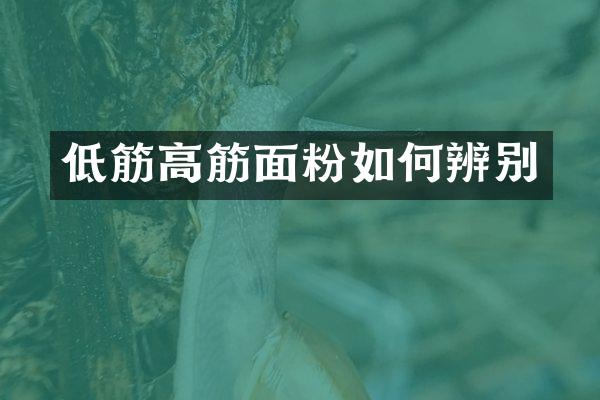 低筋高筋面粉如何辨别