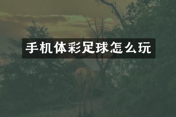 手机体彩足球怎么玩